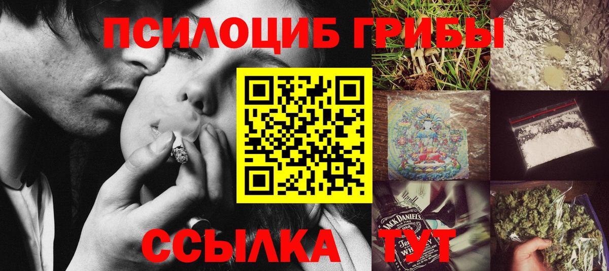Псилоцибиновые грибы мицелий  Вход с VPN  Лениногорск 